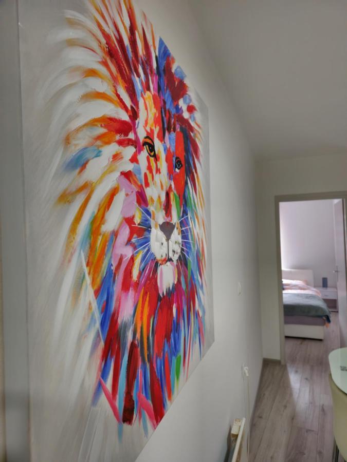 Apartment Aria 温科夫齐 外观 照片